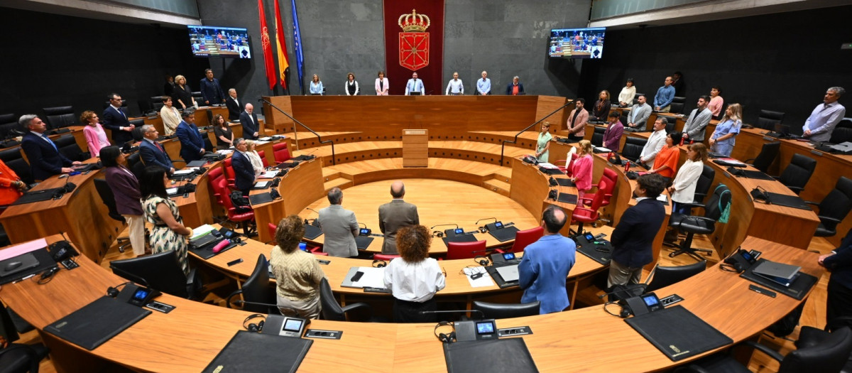 Pleno del Parlamento de Navarra