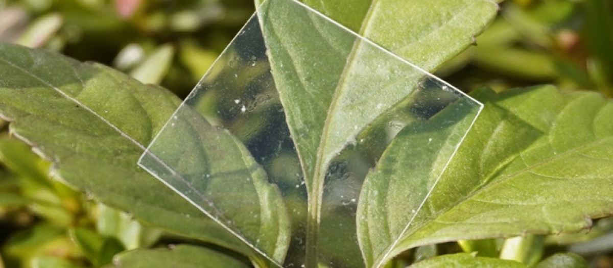 Una muestra del plástico degradable