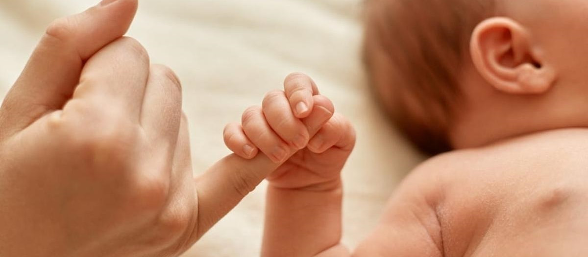 (Foto de ARCHIVO)
Un bebé agarra el dedo de su madre.
REMITIDA / HANDOUT por JUNTA DE EXTREMADURA
Fotografía remitida a medios de comunicación exclusivamente para ilustrar la noticia a la que hace referencia la imagen, y citando la procedencia de la imagen en la firma
29/4/2025