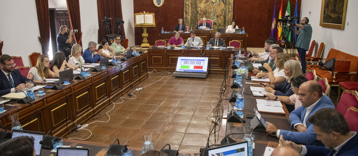 Pleno ordinario mes de junio