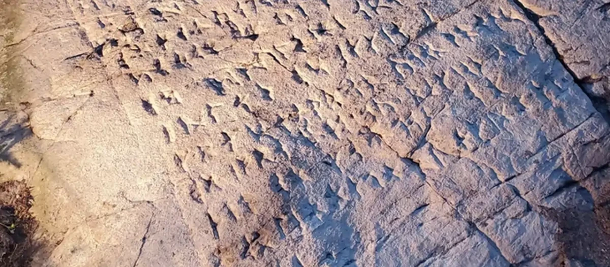 La piedra grabada con runas fue descubierta en 2018 en un bosque de Ontario