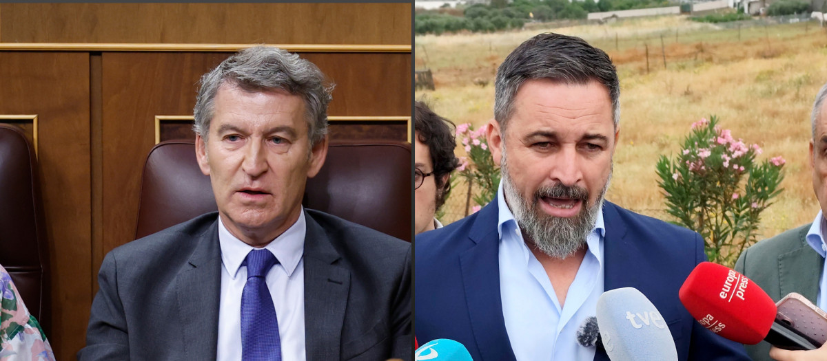 El presidente del PP, Alberto Núñez Feijóo, y el líder de Vox, Santiago Abascal