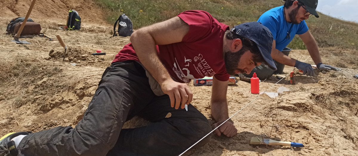Hallazgo del esqueleto de un cocodrilo de hace 40 millones de años en Zamora