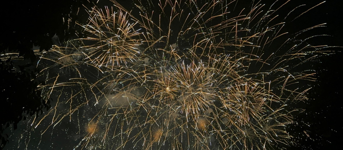 Imagen del castillo de fuegos artificiales en Valencia

EUROPA PRESS
01/7/2025