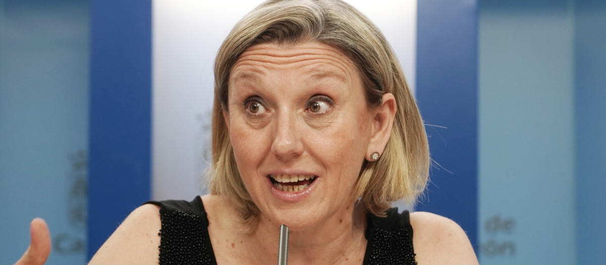 La vicepresidenta de la Junta de Castilla y León y consejera de Familia e Igualdad de Oportunidades, Isabel Blanco