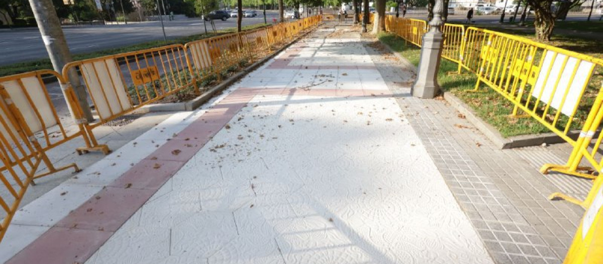 Tramo de la avenida de Vallellano con las baldosas diseñadas por Gaudí