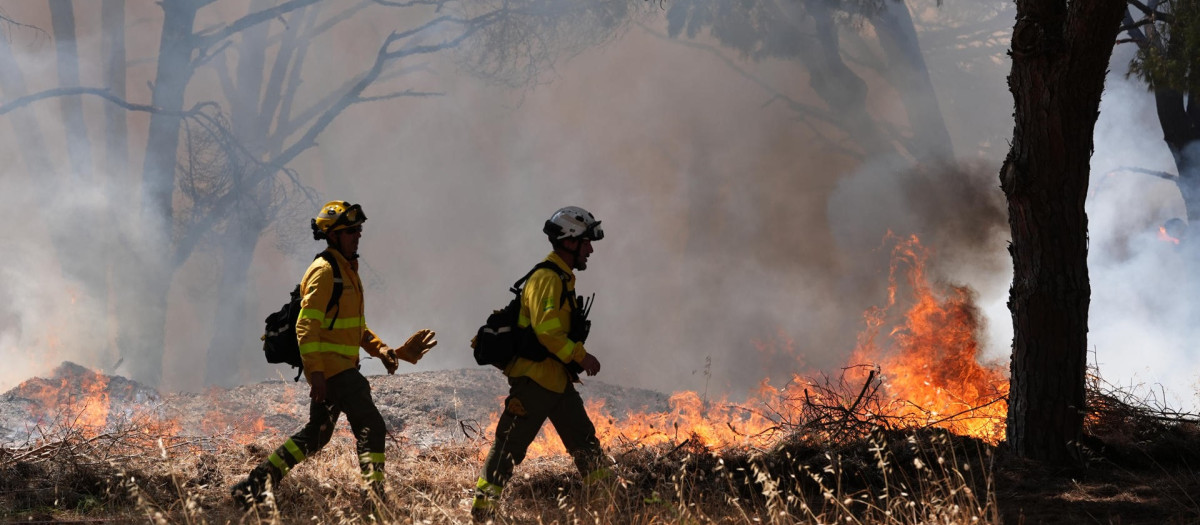 Efectivos del Infoca en el incendio de Chiclana de la Frontera.