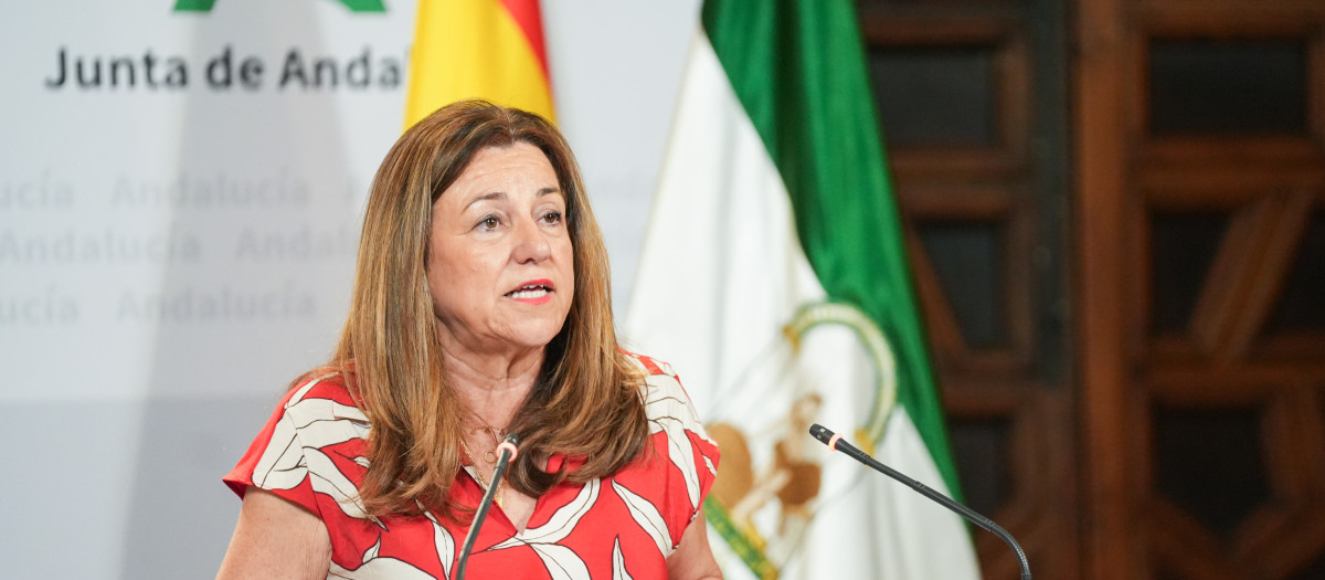 La consejera de Desarrollo Educativo y Formación Profesional, María del Carmen Castillo, este miércoles en rueda de prensa