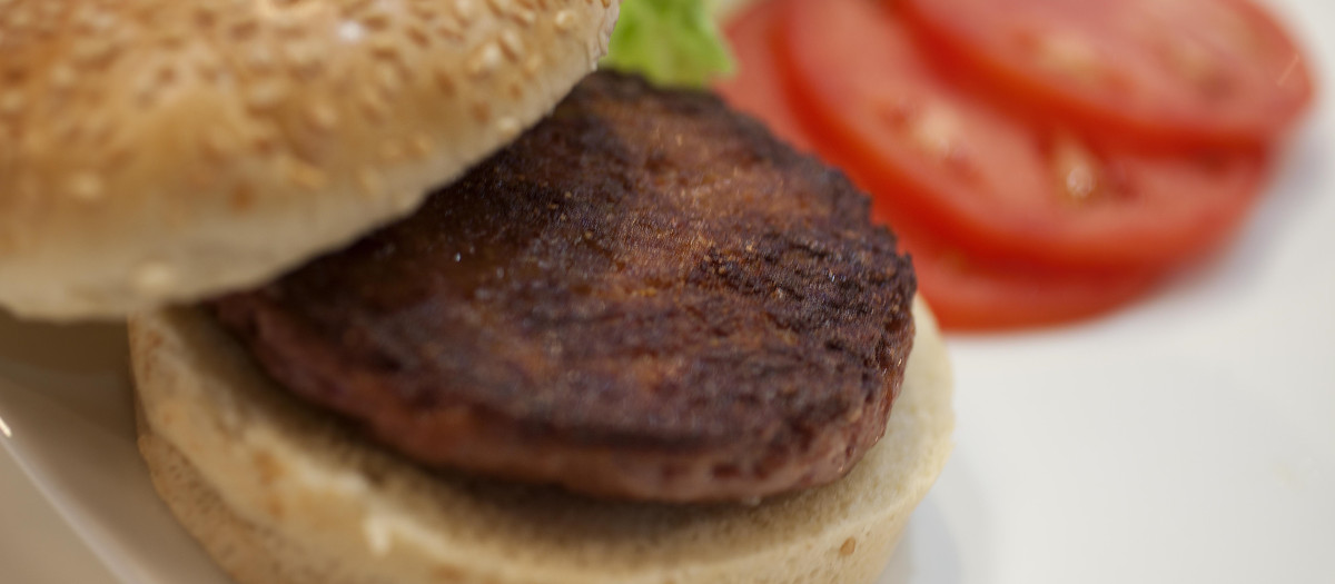 Primera hamburguesa probeta del mundo