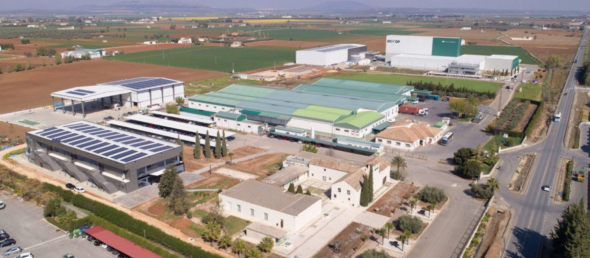 Planta de Dcoop en Antequera