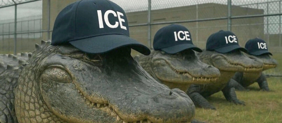 Fotografía publicada por el Departamento de Seguridad Nacional (DHS) de Estados Unidos en su cuenta oficial en la red social X de caimanes con gorras del Servicio de Inmigración y Control de Aduanas
