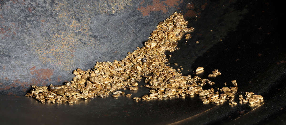 Pepitas de oro