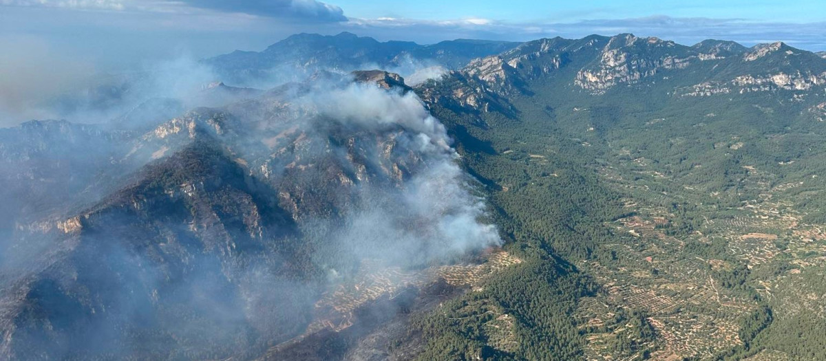 Vista aérea del fuego declarado en Paüls (Tarragona)