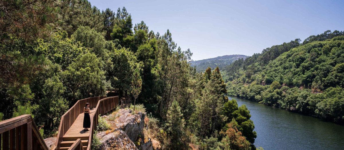 Coto da Pena