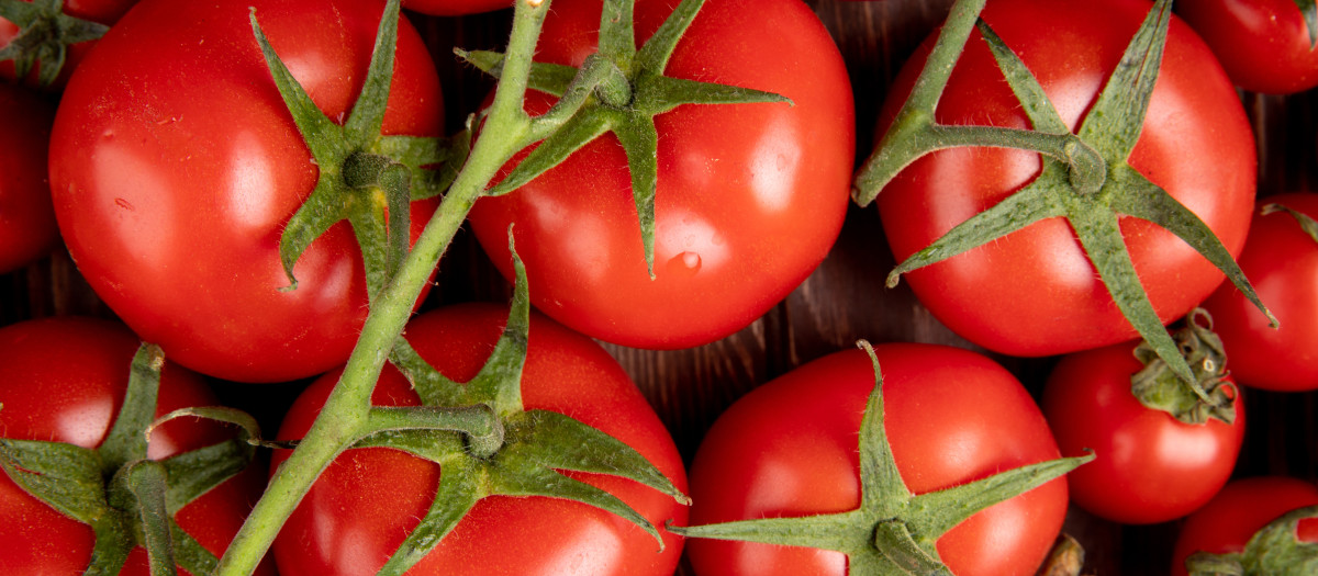 Tomates