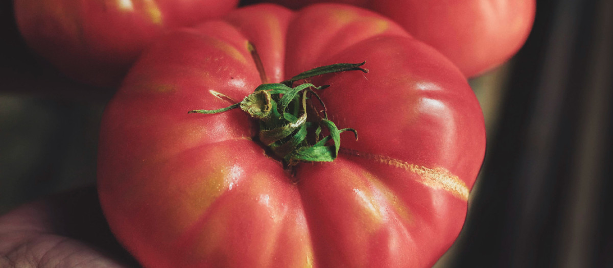 Aragón, sabor de verdad