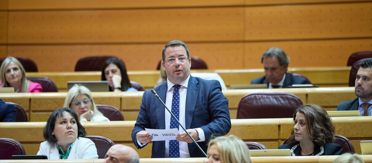 El senador alicantino, Agustín Almodóbar, en la Cámara Alta