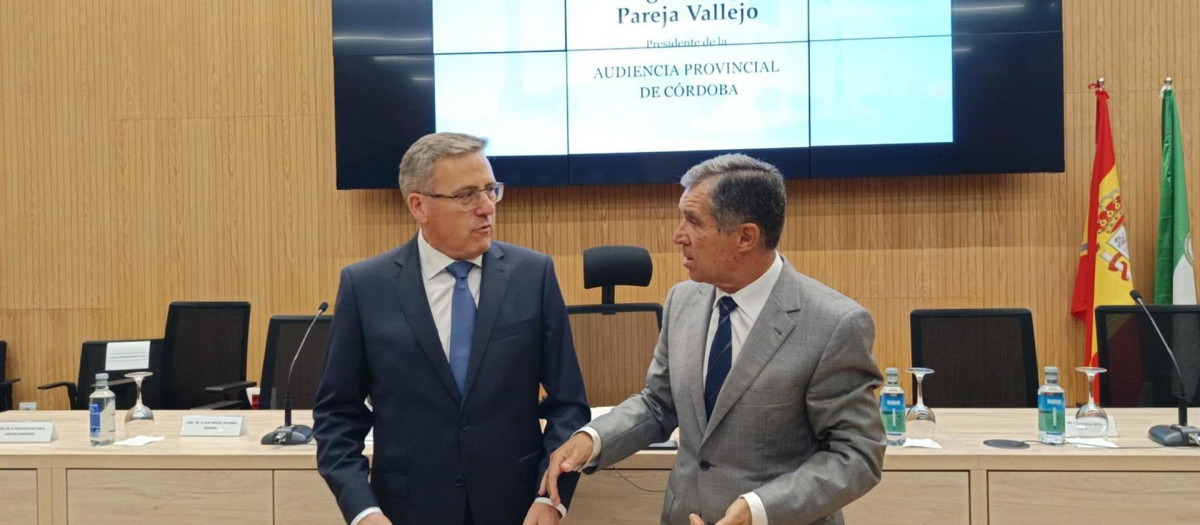 16/07/2025 El nuevo presidente de la Audiencia Provincial de Córdoba, Miguel Ángel Pareja (izda.), habla con el presidente del TSJA, Lorenzo del Río, en la Ciudad de la Justicia.
POLITICA ANDALUCÍA ESPAÑA EUROPA CÓRDOBA
