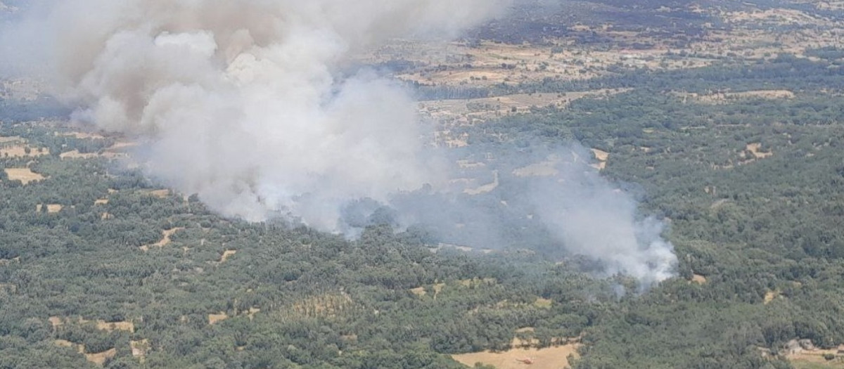 Casi medio centenar de medios trabajan en un fuego con índice de gravedad 2 en Navaluenga (Ávila)