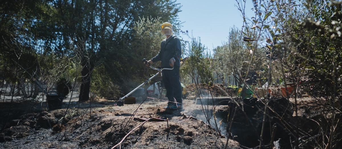 La afeccción del incendio originado en Méntrida en la urbanización Calypo Fado de Casarrubios del Monte

MATEO LANZUELA/EUROPA PRESS
18/7/2025