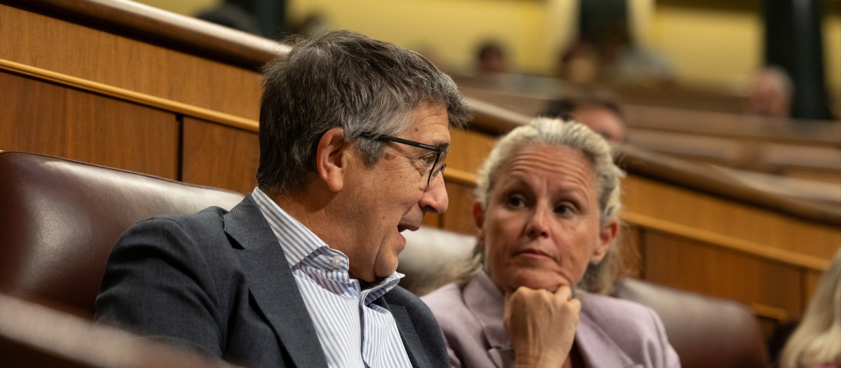 El portavoz del PSOE, Patxi López, durante una sesión plenaria extraordinaria, en el Congreso