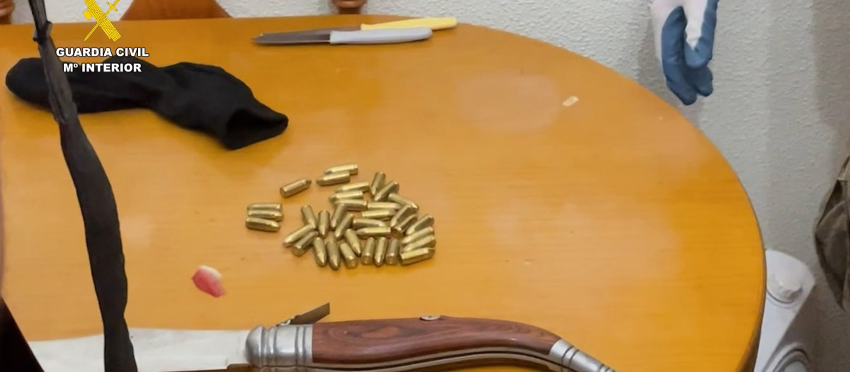 Imagen del arsenal requisado a los arrestados