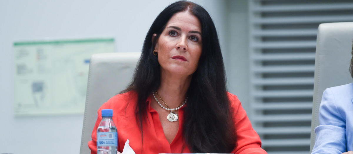 La concejala de VOX Carla Toscana, durante un pleno del Ayuntamiento de Madrid