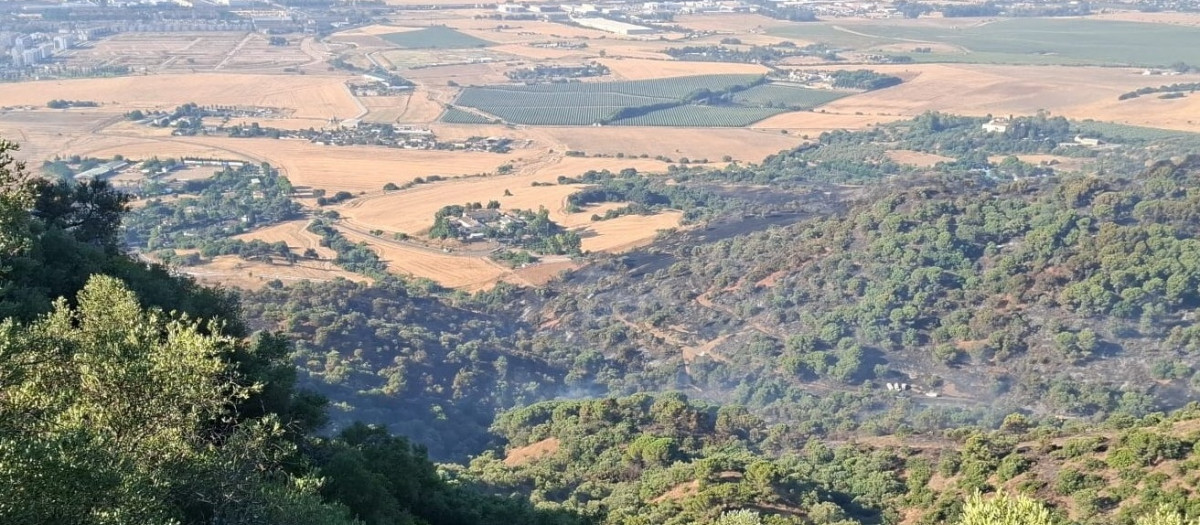 Terreno quemado en el entorno del Castillo de la Albaida