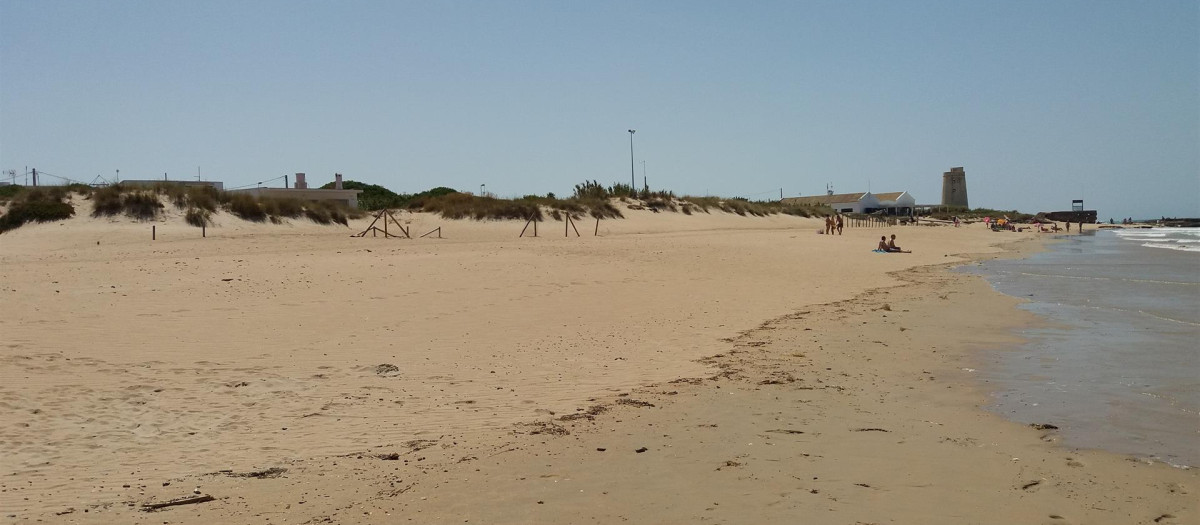 Imagen de la playa de El Palmar, en Vejer de la Frontera (Cádiz)