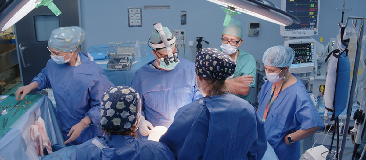 El Hospital Reina Sofía realiza la primera implantación en España de un desfibrilador extravascular por esternotomía media