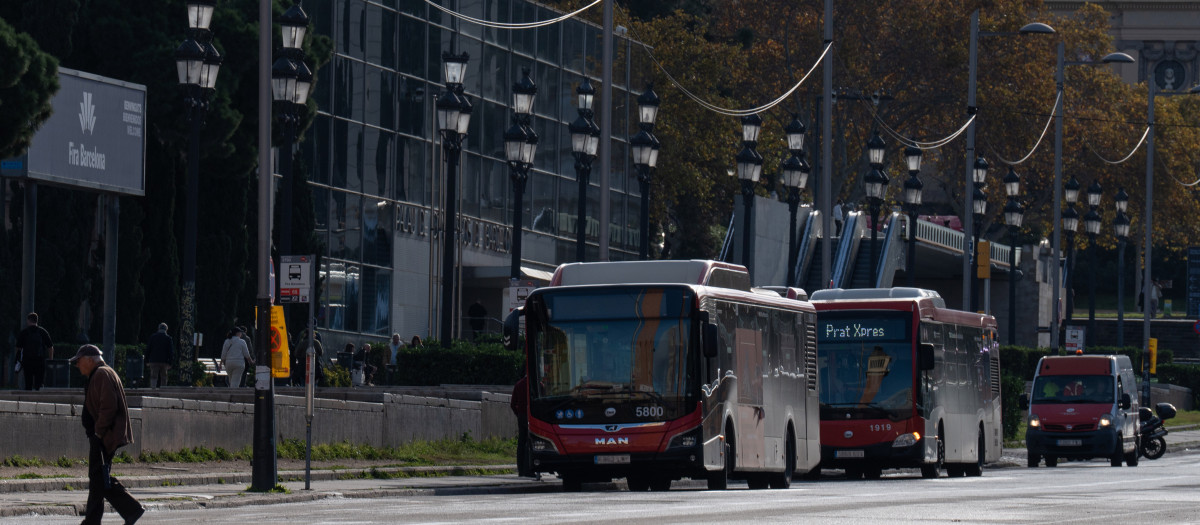 Dos autobuses, a 13 de diciembre de 2024, en Barcelona, Cataluña (España).