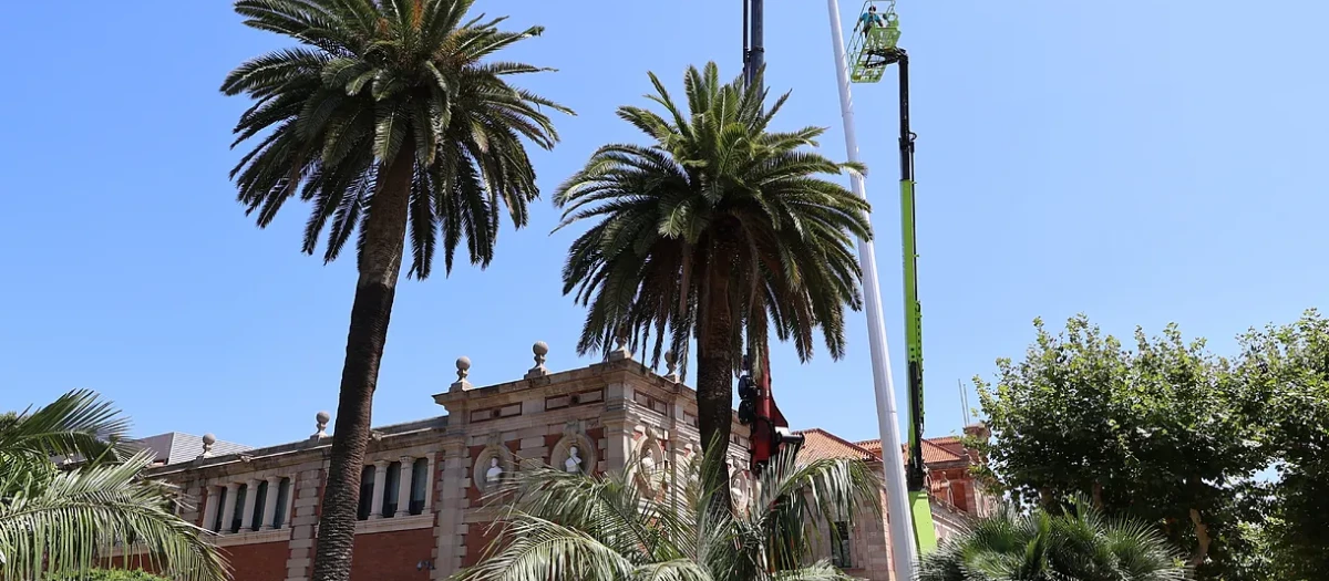 La instalación del mástil para la "senyera"