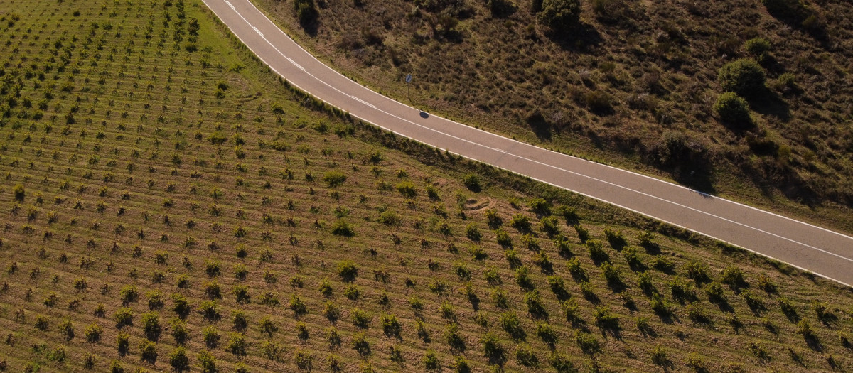 San Martín de Valdeiglesias