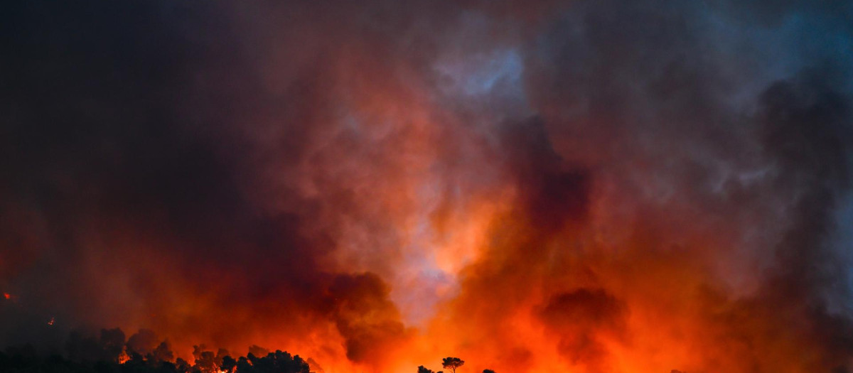 Las llamas arrasan una zona boscosa durante un incendio forestal en Saint-Laurent-de-la-Cabrerisse