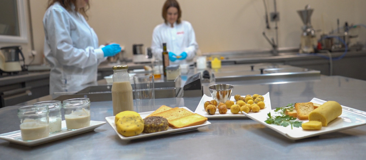 Imagen de IVACE+i y FEDER en el desarrollo de grasas saludables y sostenibles