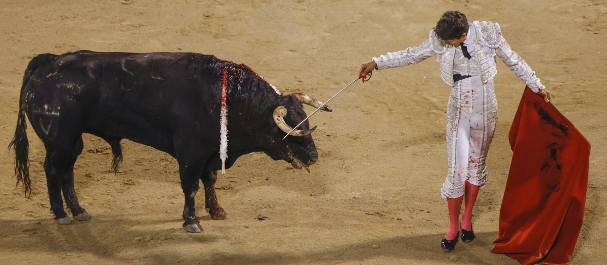 El diestro galo Sebastián Castella con su segundo toro durante el festejo taurino nocturno en Palma de Mallorca