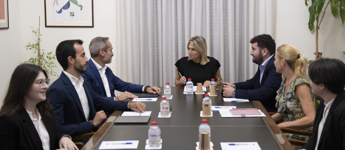 Imagen de la reunión de la Diputación de Castellón para abordar el plan estratégico Futur Província