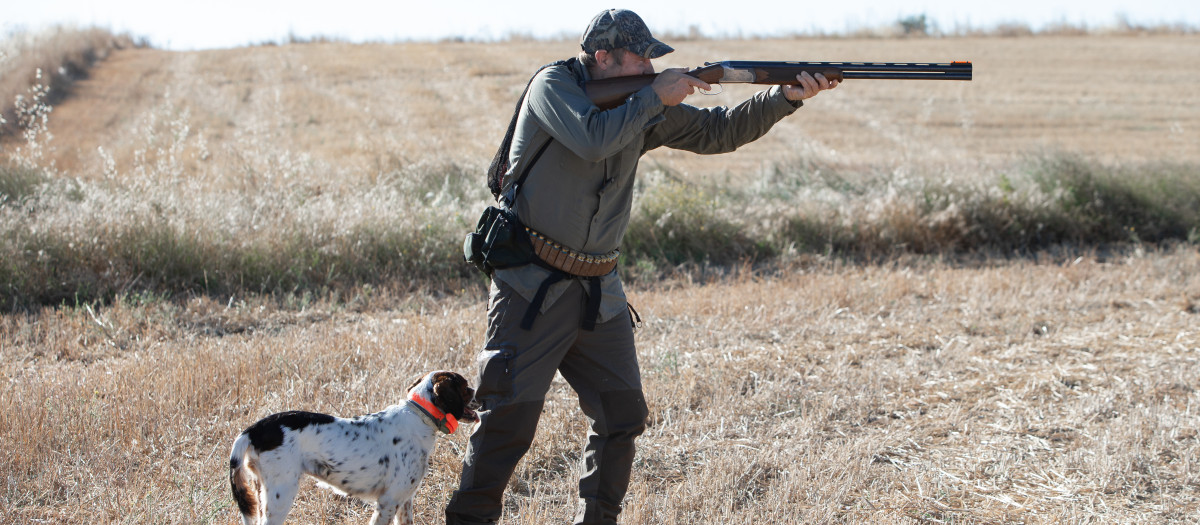 Comienza la media veda de caza en Castilla y León, con buenas expectativas de capturas.