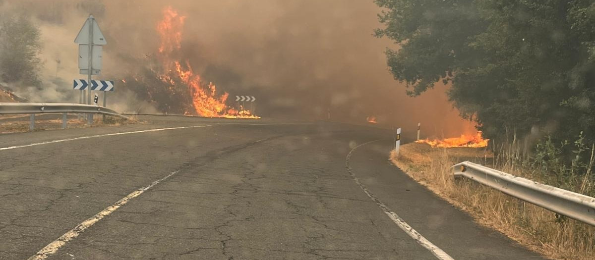 N-525 cortada por el fuego en Dozón

REMITIDA / HANDOUT por SUBDELEGACIÓN DEL GOBIERNO
Fotografía remitida a medios de comunicación exclusivamente para ilustrar la noticia a la que hace referencia la imagen, y citando la procedencia de la imagen en la firma
12/8/2025