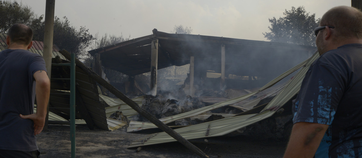 Roberto Fernández y el ganadero David Núñez en localidad de Cova,  ante la granja quemada por el incendio durante la noche, en la que murieron abrasados dos terneros y dos perros mastines. Pobra de Trives (Ourense) 13/08/25. Foto Rosa Veiga