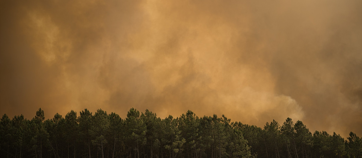 Incendio de Carballeda de Avia