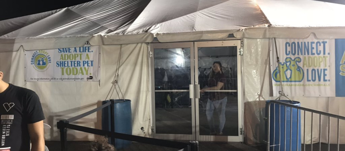 Feria de adopción de mascotas organizada por Miami-Dade y PetSmart (Archivo)