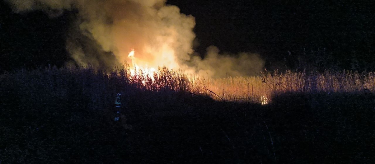 Incendio en el parque natural s'Albufera de Mallorca