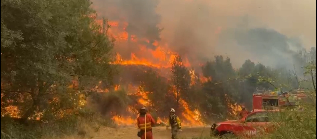 El incendio de Jarilla está prácticamente controlado