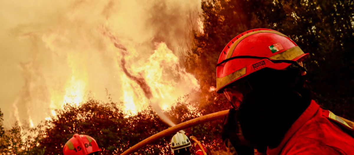 Los bomberos combaten las llamas durante un incendio forestal este lunes, en Fundao (Portugal)