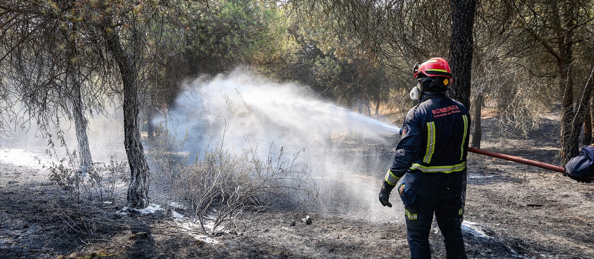 Un bombero de la Comunidad de Madrid sujeta una manguera para extinguir un incendio