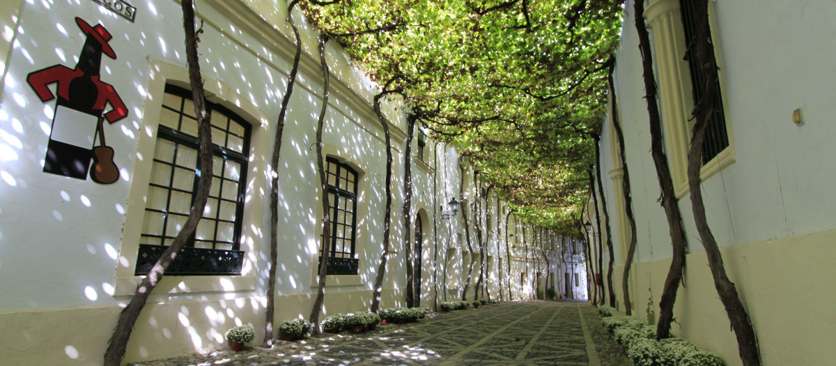 Esta calle de Jerez está considerada una de las más bellas del mundo