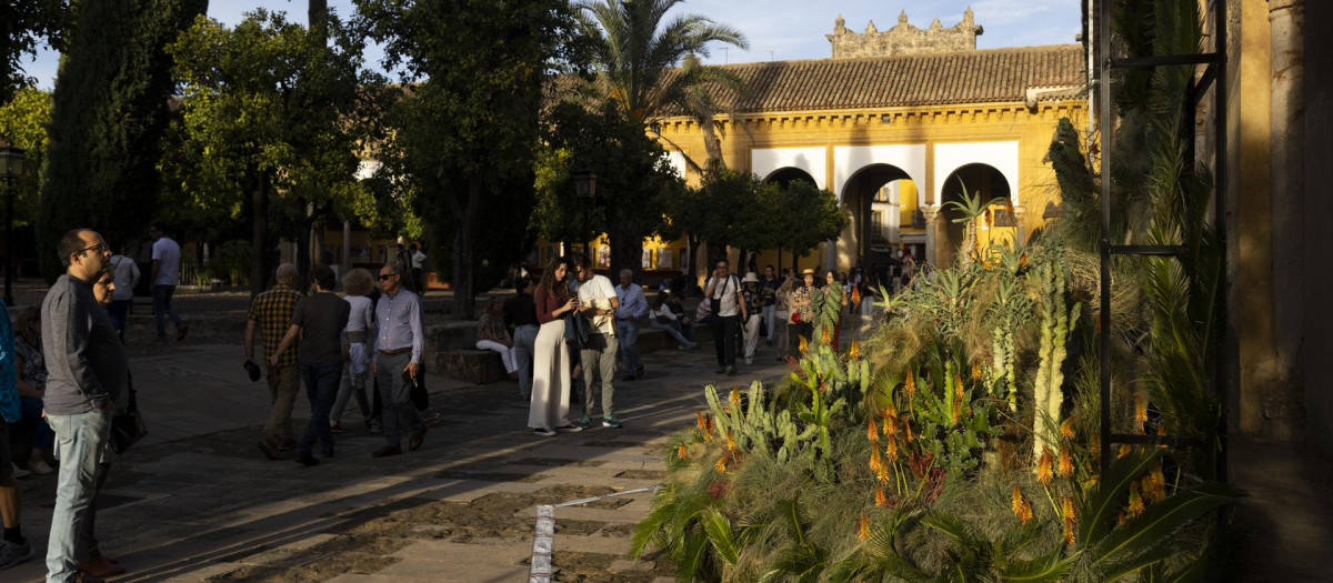 Festival Flora en el Patio de los Naranjos de La Mezquita-Catedral