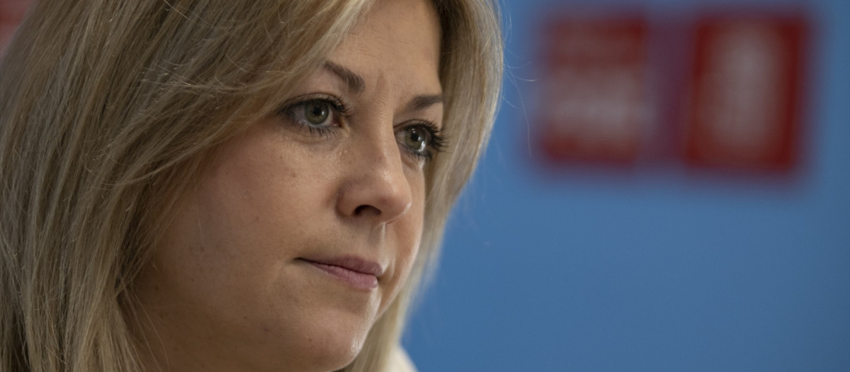 (Foto de ARCHIVO)
La portavoz del PSOE en las Cortes de Castilla-La Mancha, Ana Isabel Abengózar

Eusebio García del Castillo / Europa Press
23/12/2024