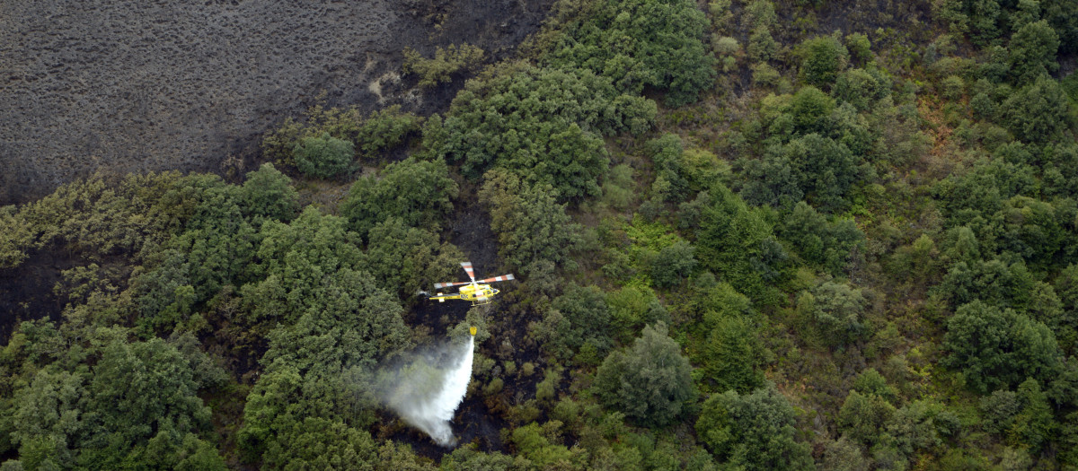 Extinción del incendio en los montes de Casaio. al pie de Chao da Veiga en la sierra de Pena Trevinca.. Cerca del bosque de tejos llamado "O Teixadal", que por segunda vez tiene el fuego alrededor. (Carballeda de Valdeorras). 07/09/25. foto Rosa Veiga